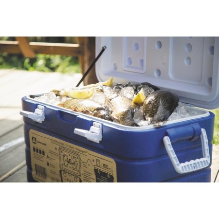 Thermal container "Arctic", 40 l, 64 x 35 x 35.5 cm, blue-6