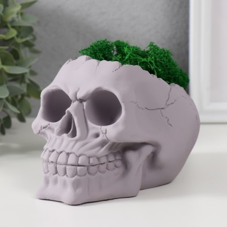 Kashpo concrete "skull" height 10 cm gray with moss (moss green stabilized)-3