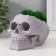 Kashpo concrete "skull" height 10 cm gray with moss (moss green stabilized)
