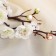 Artificial flowers "Sakura branch" 3x60 cm, white