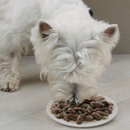 Wet Cesar food for dogs, lambs with vegetables in sauce, spider, 85 g-8