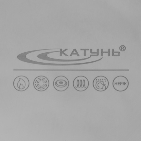 Poster "General catering", 15 l, d = 30 cm, h = 25 cm, metal cover, with a heat distribution layer-4