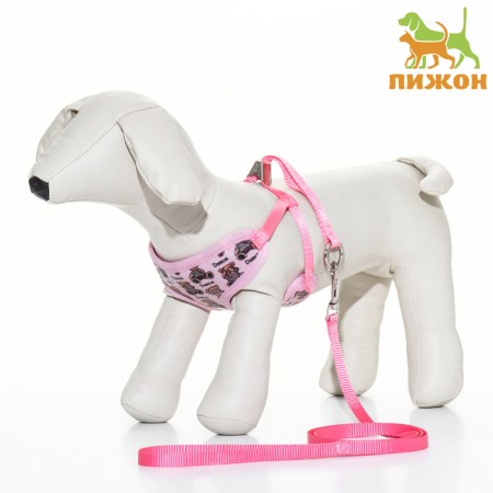 A set with a soft slope "Damon", size m, leash 120 x 1.2 cm, pink