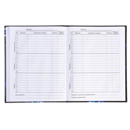 Diary for grades 5-11, "gray car", a solid cover 7BC, glossy lamination, 48 sheets-4