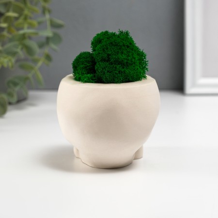 Kashpo concrete "Skull Silence" with moss 6.5x10 cm white (moss green stabilized)-3