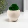 Kashpo concrete "Skull Silence" with moss 6.5x10 cm white (moss green stabilized)