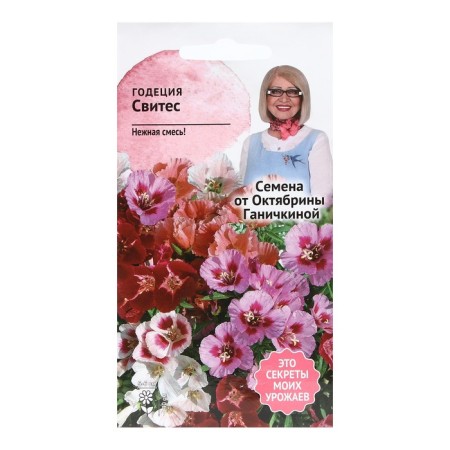 Flower seeds Godegia "Svites", 0.1 g