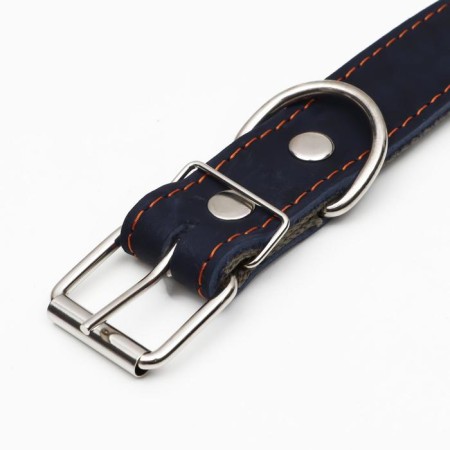 Collar combined leather/tarpaulin, dimensionless, 70 x 3.5 cm, Osh 25-60 cm, blue-3
