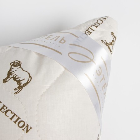 Pillow "Ethel", footing - sheep wool, 50x70 cm, tick-6