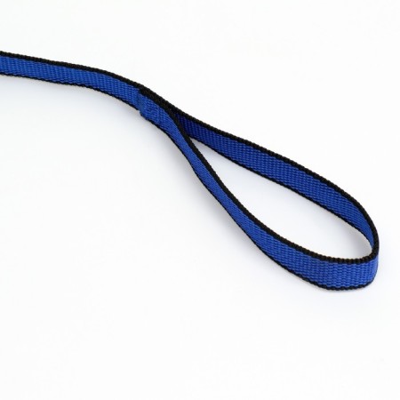 Leash 3 m x 2 cm, blue-black-2