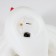 Night Bird LED from batteries white RISALUX