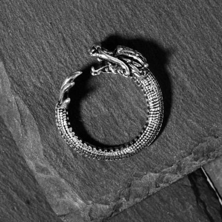 Ring "Right" Dragon, color black silver, dimensionless-3