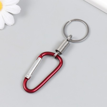 Metal keychain "Carabiner with a spring" mix 10 cm-2