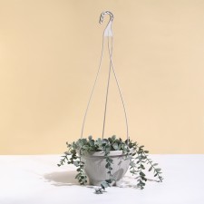 Suspended pots, 2 l, plastic, beige