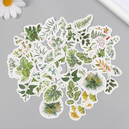 Stickers for creativity "Green leaves" set 46 pcs 6.4x4.4x1.1 cm
