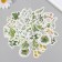 Stickers for creativity "Green leaves" set 46 pcs 6.4x4.4x1.1 cm