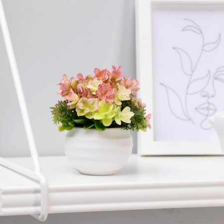 Bonsai in the pot "Succulent Lush" 6x8 cm, mix