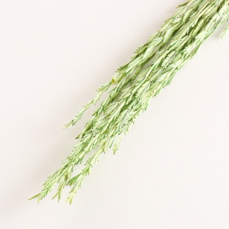 Set of dried flowers "Raigrace", banch 21 pcs, length 60 (+/- 6 cm), green-2