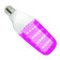 LED phytolamp, 12 W, E27, IP65