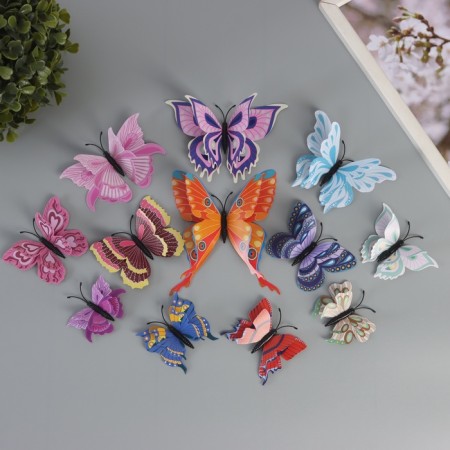 Magnet Plastic "Butterfly with delicate patterns" set of 12 pcs 6; 8; 10; 12 cm