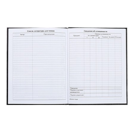 Universal diary for grades 1-11, Super Testi-2, solid cover 7BC, glossy lamination, 40 sheets-8