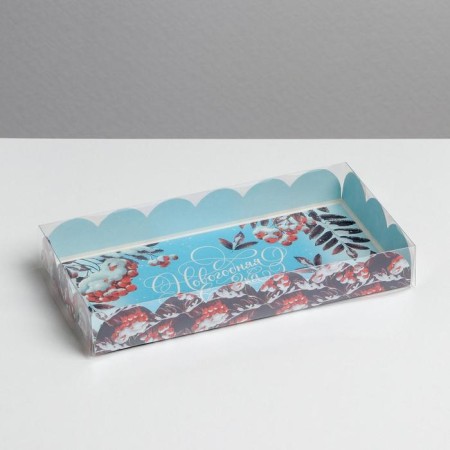 Box for confectionery products with PVC “currant”, 10.5 x 21 x 3 cm, new year-1