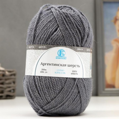 Yarn "Argentinean wool" 100% imported p/t wool 200m/100g (169, gray)