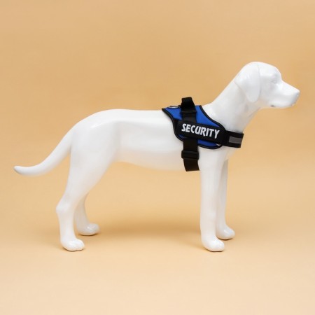 C9 harness is soft reflective, size l, og 68-80 cm, weight 17.5-32.5 cm, blue-3
