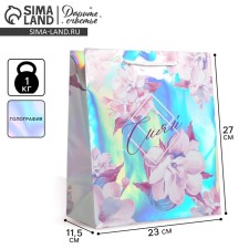 Gift holographic package, packaging, “shine”, 23 x 27 x 11.5 cm