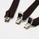 Adults adults, width 2.5 cm, dark brown color