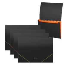 Folder-carte, A4, 6 departments, 700 μm, Erichkrause 