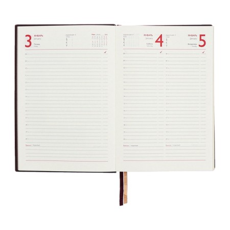 Dated 2025 diary, A5, 176 sheets of Escalada, solid cover of artificial leather, 3D design, foil, liescam embossing, cream block 70 g/m2, brown-11