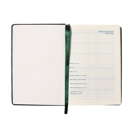 Dated diary of 2025, A5, 168 sheets in the ruler, leatherette "Nebraska", gold cut, green-5