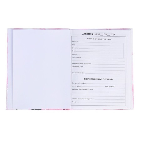 Diary for grades 5-11, "stylish girl", a solid cover 7BC, glossy lamination, 48 sheets-4