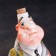 Porcelain Set: General Carpet, 0.5 l + 3 glasses, sleeve
