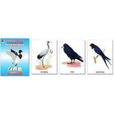 A set of cards. Migratory birds