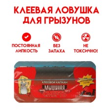 A glue trap for rodents 