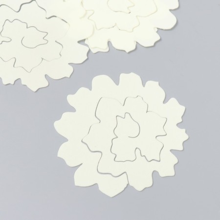 The workpiece of Foamiran "Flower Curly" 10x9.5 cm set 5 pcs. Ribbed champagne-1