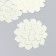 The workpiece of Foamiran "Flower Curly" 10x9.5 cm set 5 pcs. Ribbed champagne
