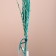 Set of dried flowers "Raigrace", banch 21 pcs, length 60 (+/- 6 cm), turquoise