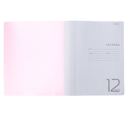 Notebook 12 sheets in a pink cage, plastic cover, block 65 g/m2-2
