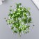 Beads for creativity plastic "Round. Assorted green" d = 3-8 mm, set 10 grams
