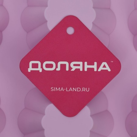 The form for baking the share "Sweets. Puding ”, silicone, 29.5 × 17.5 cm, 6 cells (7.7 × 4 cm), color mix-6