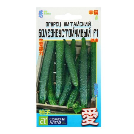 Chinese cucumber seeds "Powerful resistant F1", Middle End, Partenocarpic, CPU, 6 pcs-1