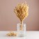 Set of dried flowers "chandra", banch length 40 (+/- 6 cm), bleached
