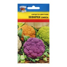 Cabbage Cabbage seeds. 