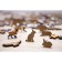 Ewa wooden puzzle, cunning fox, 28 × 20 cm, puzzle