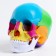 Mettle Matules "Human Skull" multi -colored collapsible, 20*12*21cm