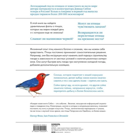 What is the bird: about flights and nesting, feeding and singing. How and what the most famous birds live on earth-1