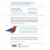 What is the bird: about flights and nesting, feeding and singing. How and what the most famous birds live on earth